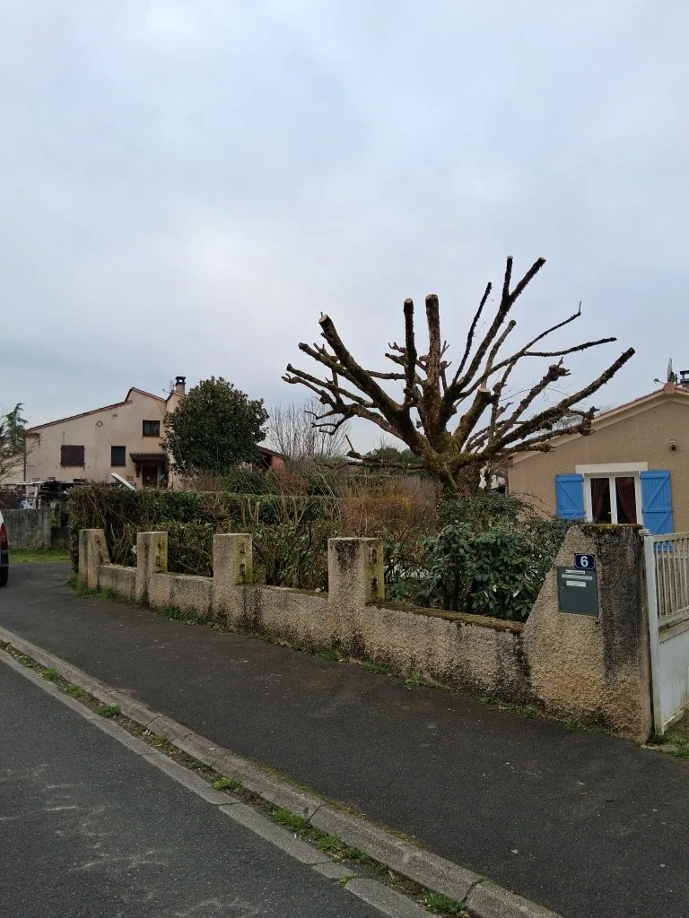 Murette avant nettoyage, dépose des bois et préparation